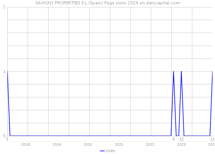 SAVIGNY PROPERTIES S.L (Spain) Page visits 2024 
