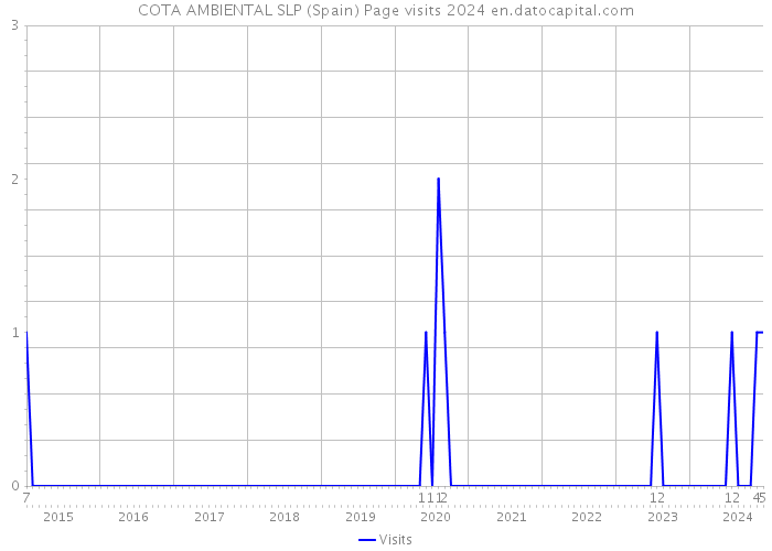 COTA AMBIENTAL SLP (Spain) Page visits 2024 