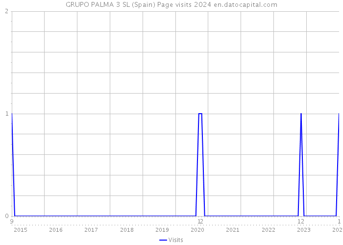 GRUPO PALMA 3 SL (Spain) Page visits 2024 