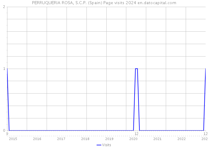 PERRUQUERIA ROSA, S.C.P. (Spain) Page visits 2024 