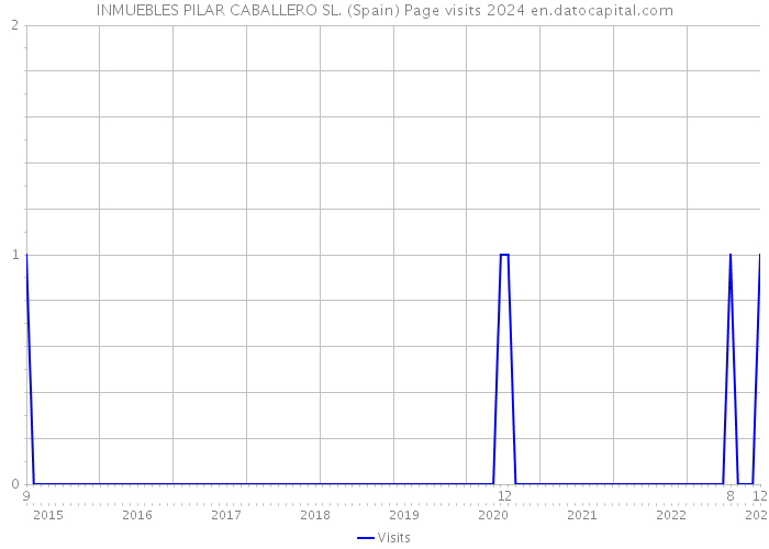 INMUEBLES PILAR CABALLERO SL. (Spain) Page visits 2024 