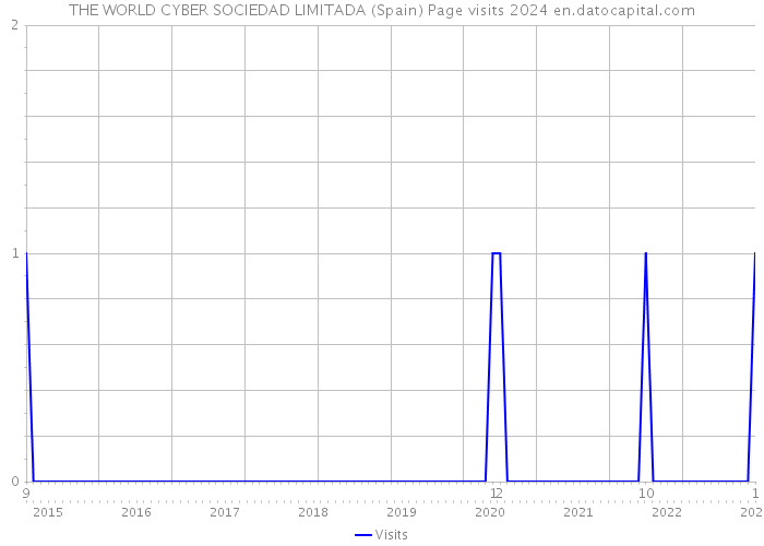 THE WORLD CYBER SOCIEDAD LIMITADA (Spain) Page visits 2024 