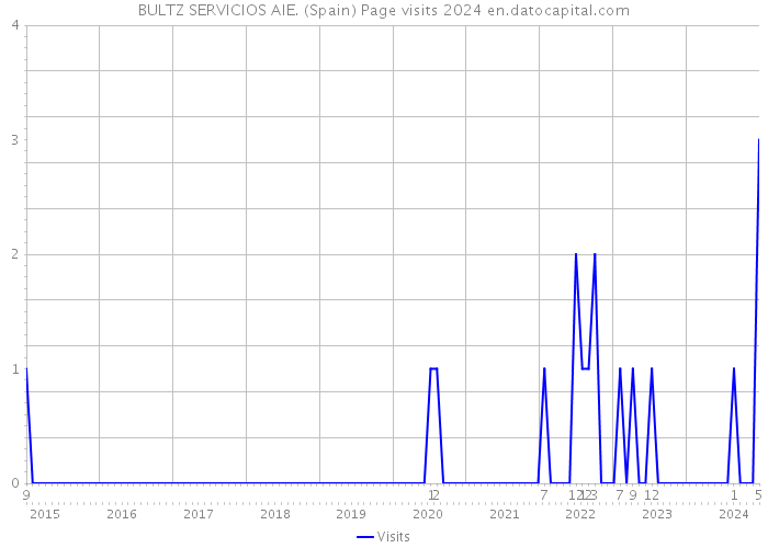 BULTZ SERVICIOS AIE. (Spain) Page visits 2024 