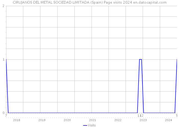 CIRUJANOS DEL METAL SOCIEDAD LIMITADA (Spain) Page visits 2024 