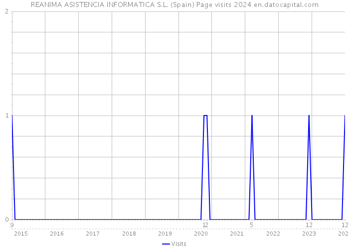 REANIMA ASISTENCIA INFORMATICA S.L. (Spain) Page visits 2024 