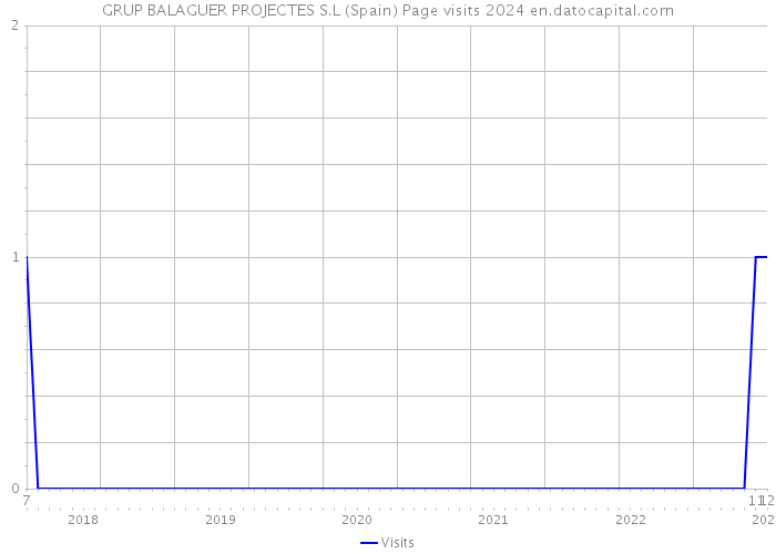 GRUP BALAGUER PROJECTES S.L (Spain) Page visits 2024 