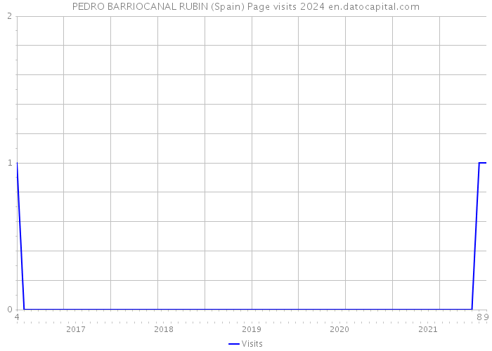 PEDRO BARRIOCANAL RUBIN (Spain) Page visits 2024 