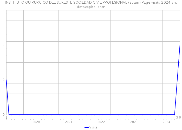 INSTITUTO QUIRURGICO DEL SURESTE SOCIEDAD CIVIL PROFESIONAL (Spain) Page visits 2024 
