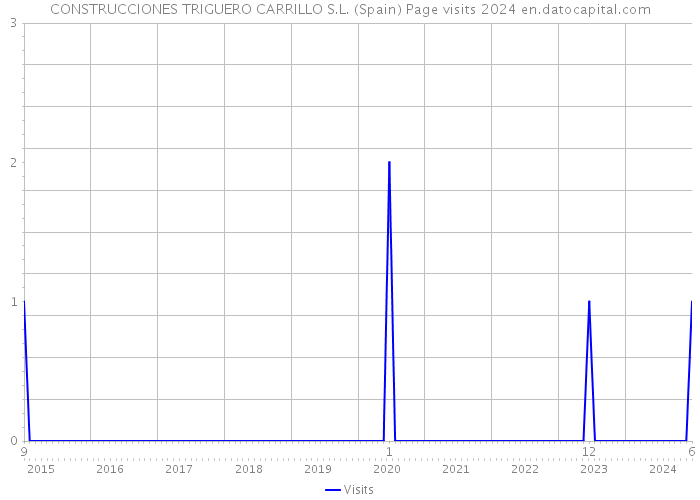 CONSTRUCCIONES TRIGUERO CARRILLO S.L. (Spain) Page visits 2024 