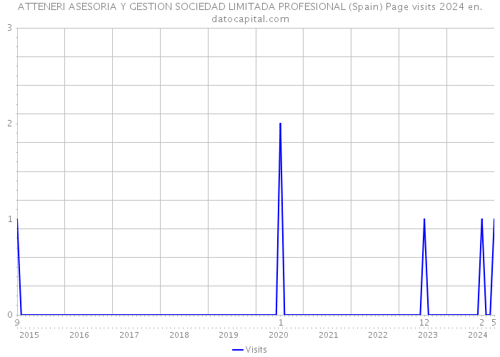 ATTENERI ASESORIA Y GESTION SOCIEDAD LIMITADA PROFESIONAL (Spain) Page visits 2024 