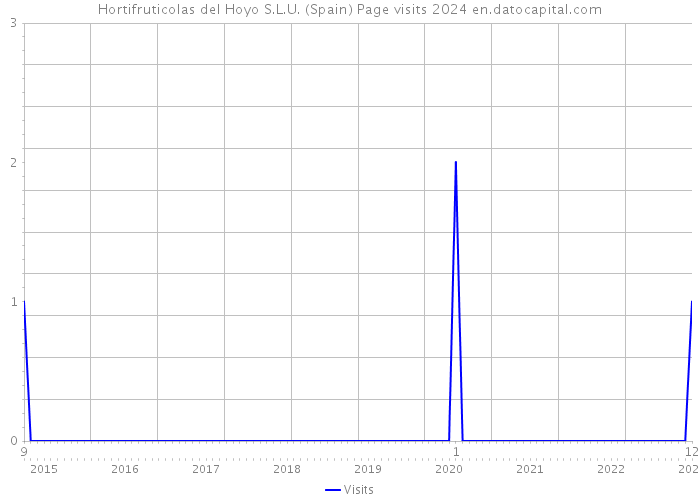 Hortifruticolas del Hoyo S.L.U. (Spain) Page visits 2024 