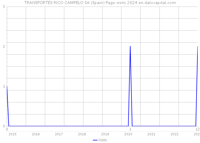 TRANSPORTES RICO CAMPELO SA (Spain) Page visits 2024 