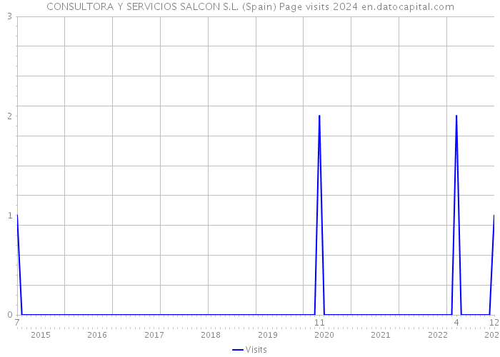 CONSULTORA Y SERVICIOS SALCON S.L. (Spain) Page visits 2024 