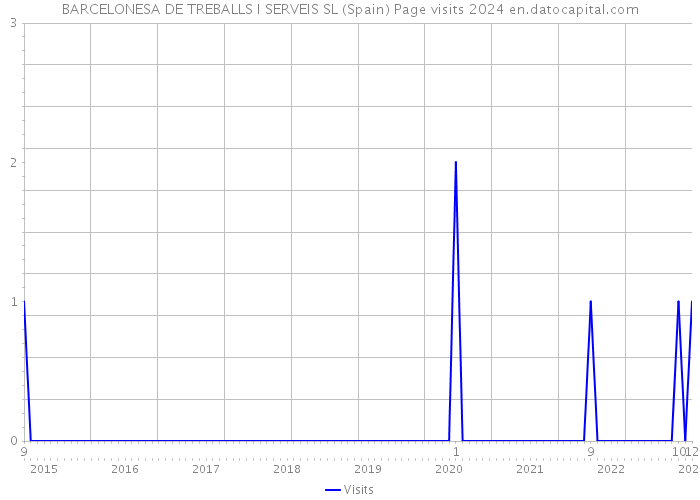 BARCELONESA DE TREBALLS I SERVEIS SL (Spain) Page visits 2024 