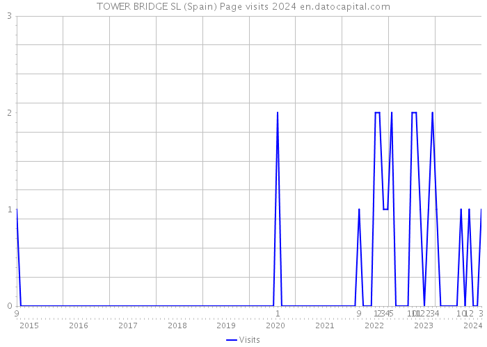TOWER BRIDGE SL (Spain) Page visits 2024 