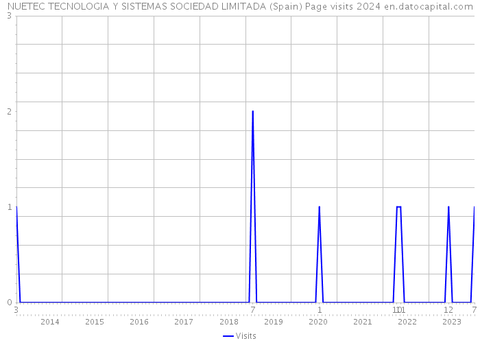 NUETEC TECNOLOGIA Y SISTEMAS SOCIEDAD LIMITADA (Spain) Page visits 2024 