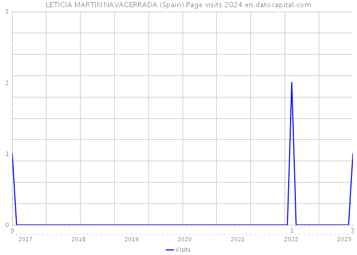 LETICIA MARTIN NAVACERRADA (Spain) Page visits 2024 