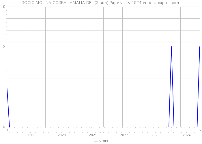 ROCIO MOLINA CORRAL AMALIA DEL (Spain) Page visits 2024 