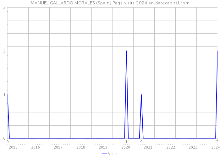 MANUEL GALLARDO MORALES (Spain) Page visits 2024 