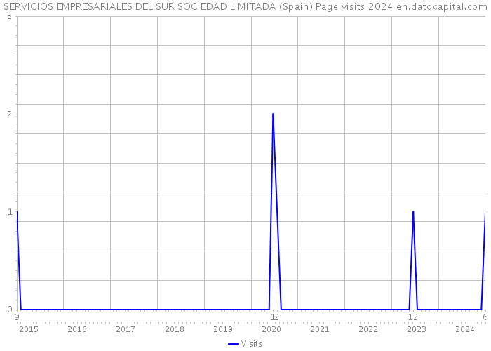 SERVICIOS EMPRESARIALES DEL SUR SOCIEDAD LIMITADA (Spain) Page visits 2024 