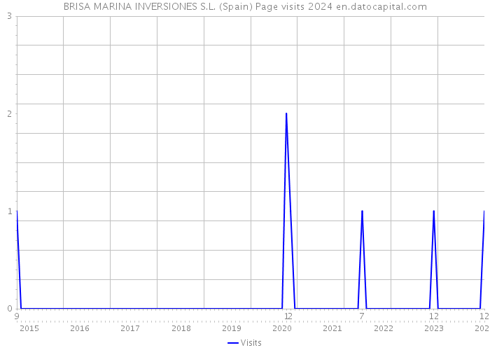 BRISA MARINA INVERSIONES S.L. (Spain) Page visits 2024 