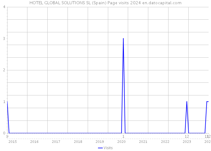 HOTEL GLOBAL SOLUTIONS SL (Spain) Page visits 2024 