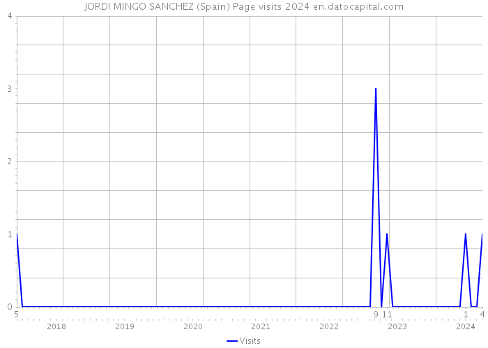 JORDI MINGO SANCHEZ (Spain) Page visits 2024 