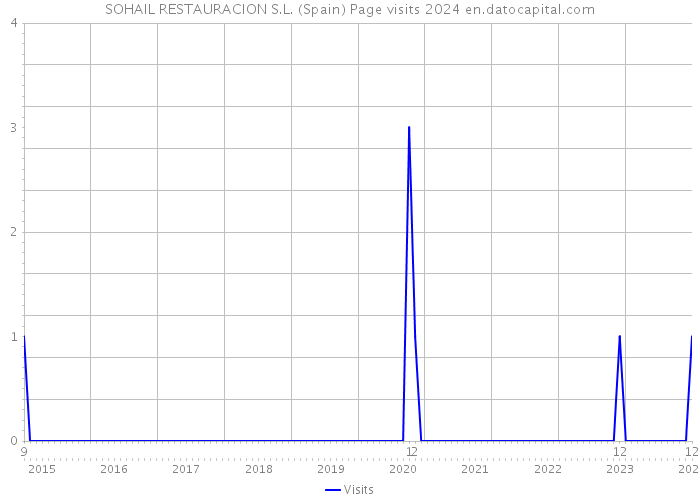 SOHAIL RESTAURACION S.L. (Spain) Page visits 2024 