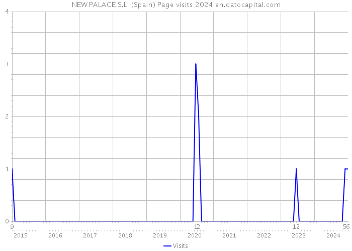 NEW PALACE S.L. (Spain) Page visits 2024 