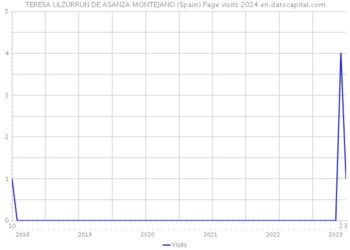 TERESA ULZURRUN DE ASANZA MONTEJANO (Spain) Page visits 2024 