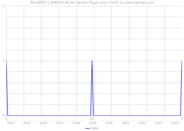 RICARDO CAMPOS SILVA (Spain) Page visits 2024 