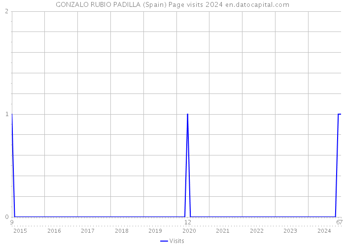 GONZALO RUBIO PADILLA (Spain) Page visits 2024 