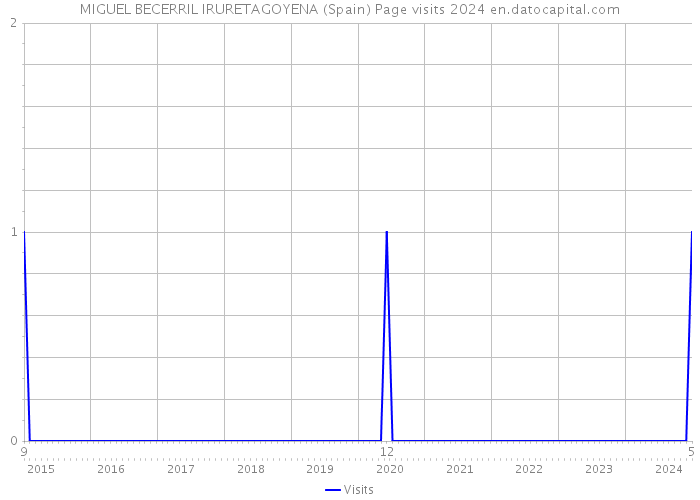 MIGUEL BECERRIL IRURETAGOYENA (Spain) Page visits 2024 