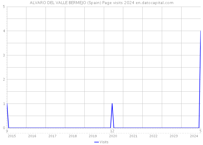 ALVARO DEL VALLE BERMEJO (Spain) Page visits 2024 