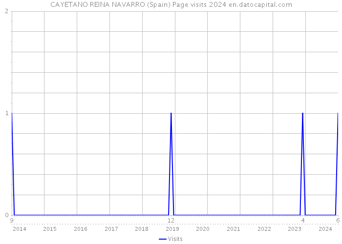 CAYETANO REINA NAVARRO (Spain) Page visits 2024 