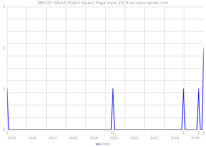 SERGIO SALAS ROJAS (Spain) Page visits 2024 