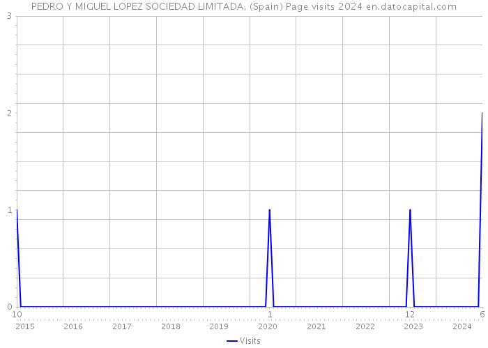 PEDRO Y MIGUEL LOPEZ SOCIEDAD LIMITADA. (Spain) Page visits 2024 