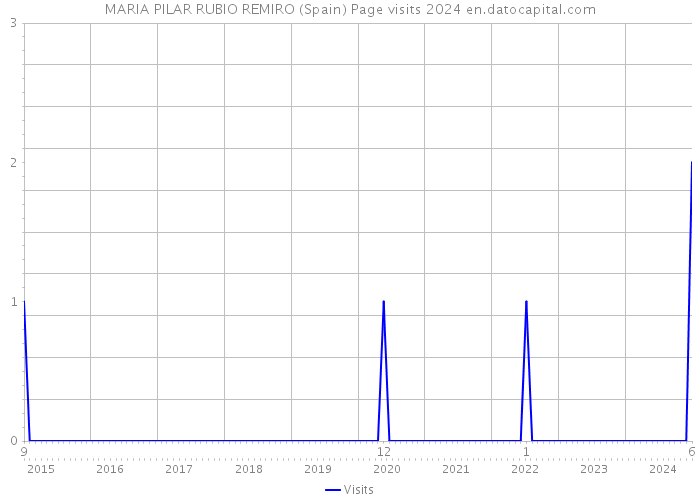 MARIA PILAR RUBIO REMIRO (Spain) Page visits 2024 