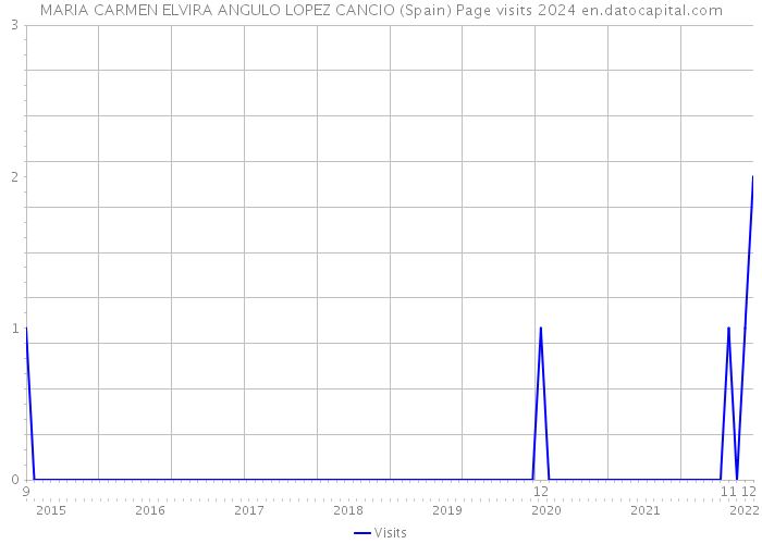 MARIA CARMEN ELVIRA ANGULO LOPEZ CANCIO (Spain) Page visits 2024 