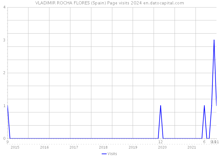 VLADIMIR ROCHA FLORES (Spain) Page visits 2024 