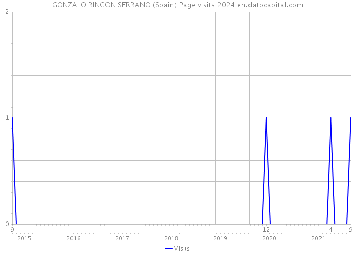 GONZALO RINCON SERRANO (Spain) Page visits 2024 