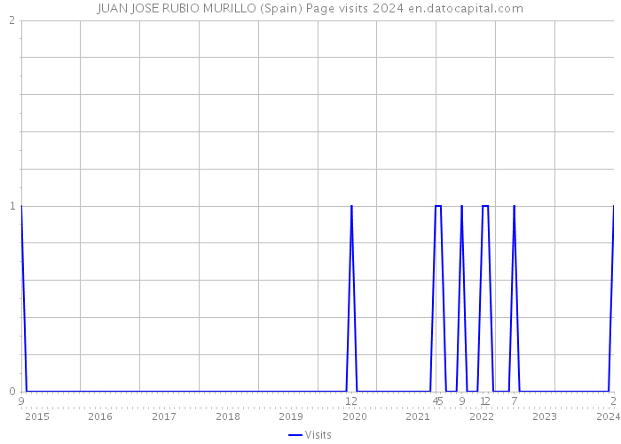 JUAN JOSE RUBIO MURILLO (Spain) Page visits 2024 