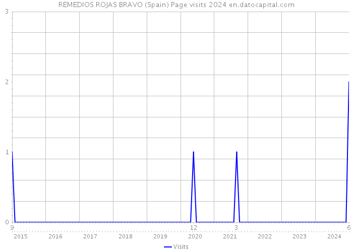 REMEDIOS ROJAS BRAVO (Spain) Page visits 2024 