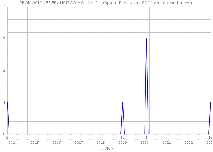 PROMOCIONES FRANCISCO MOLINA S.L. (Spain) Page visits 2024 