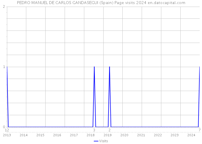 PEDRO MANUEL DE CARLOS GANDASEGUI (Spain) Page visits 2024 