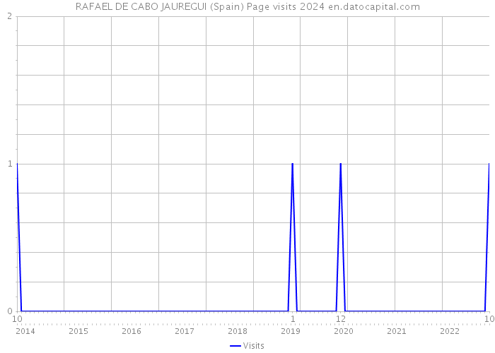 RAFAEL DE CABO JAUREGUI (Spain) Page visits 2024 