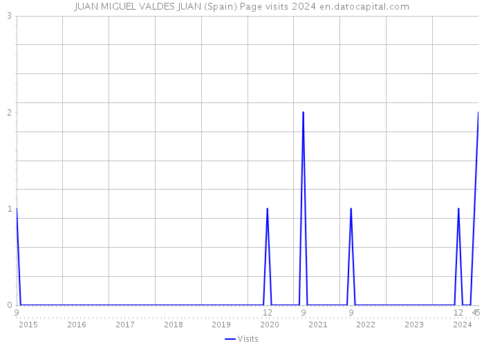 JUAN MIGUEL VALDES JUAN (Spain) Page visits 2024 
