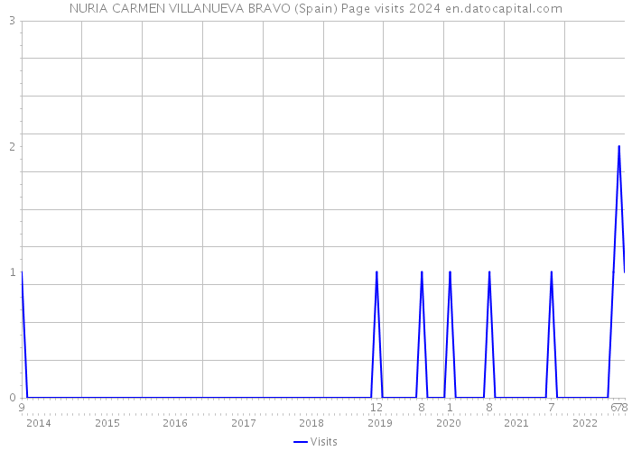 NURIA CARMEN VILLANUEVA BRAVO (Spain) Page visits 2024 