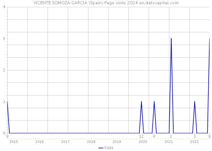 VICENTE SOMOZA GARCIA (Spain) Page visits 2024 