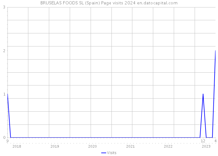 BRUSELAS FOODS SL (Spain) Page visits 2024 